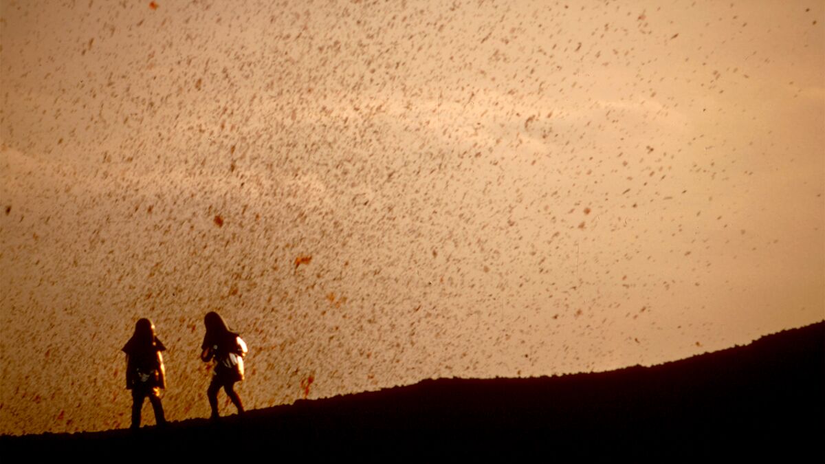 An image from the documentary "Fire of Love."