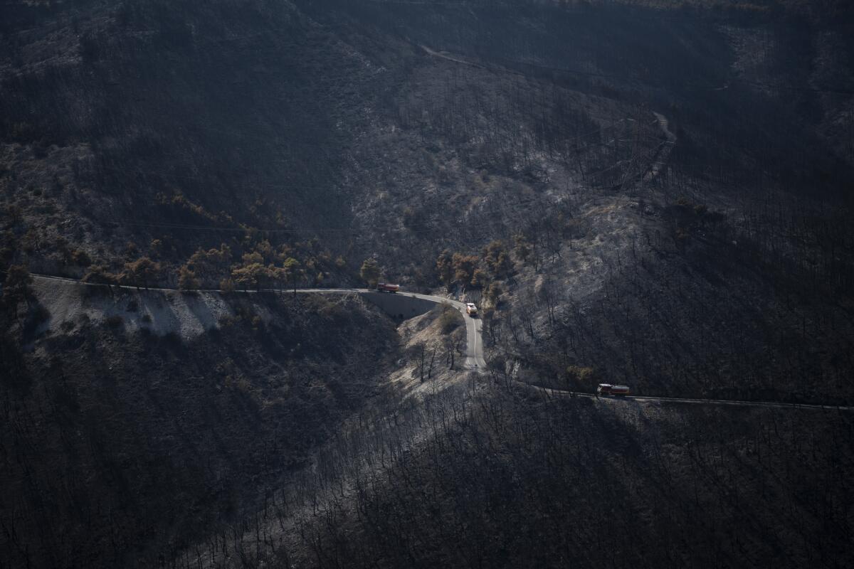 Firetrucks on a road in burned forest near the Fyli suburb in northwest Athens.