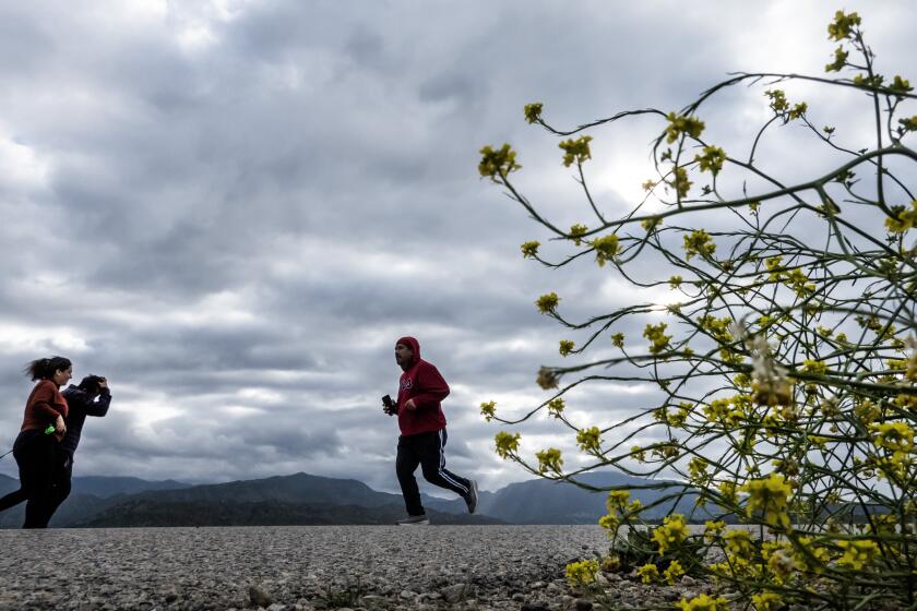 LAKE VIEW TERRACE, CA - APRIL 13: Visitors to the Hansen Dam bike path faced cold winds and clouds on Saturday, April 13, 2024 in Lake View Terrace, CA. Rain is expected for the Southland this weekend. (Myung J. Chun / Los Angeles Times)