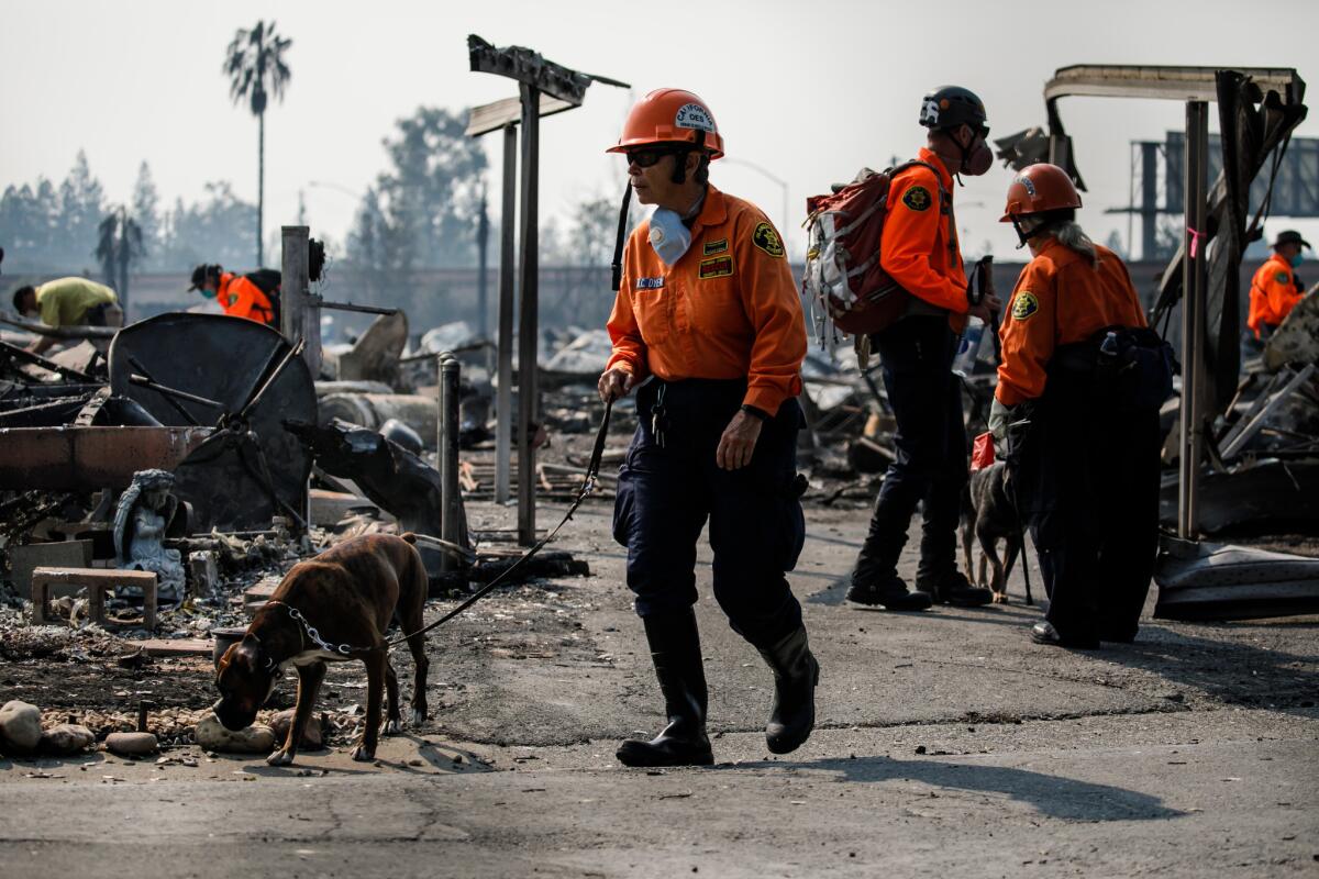 Search teams sift through the debris of mobile homes at the Journey's End Mobile Home Park in Santa Rosa.