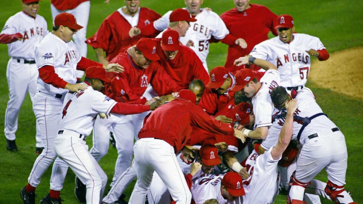 The Angels celebrate their World Series victory.