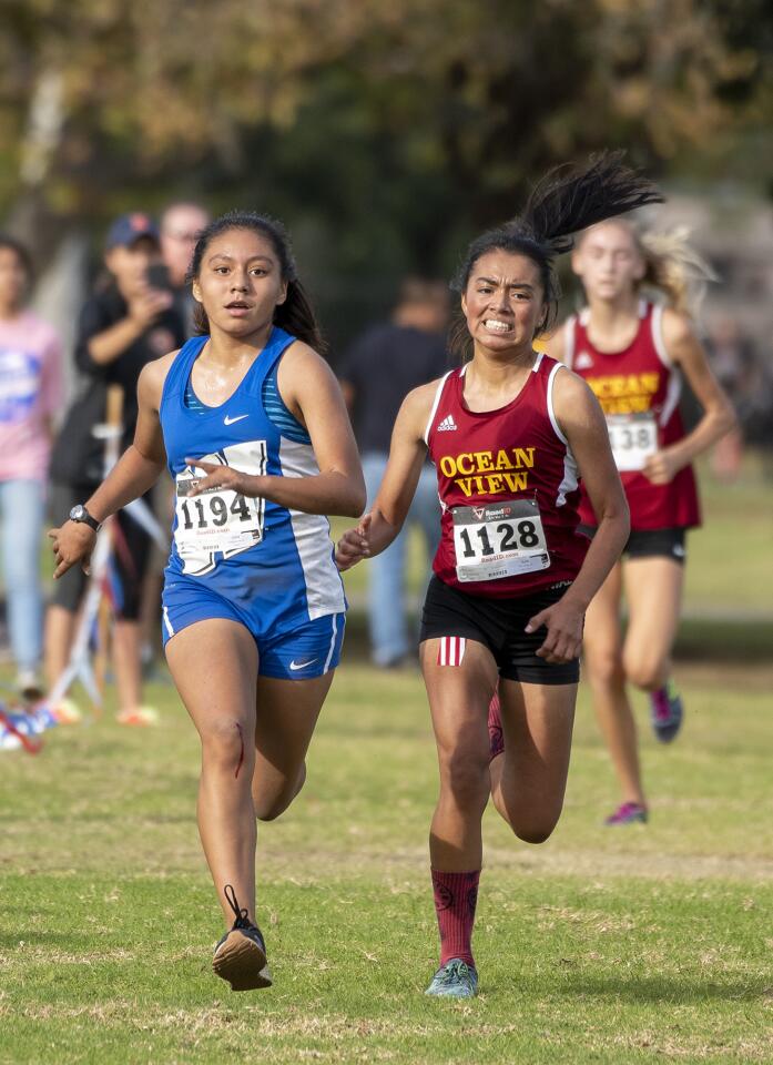 Photo Gallery: Golden West League cross-country finals