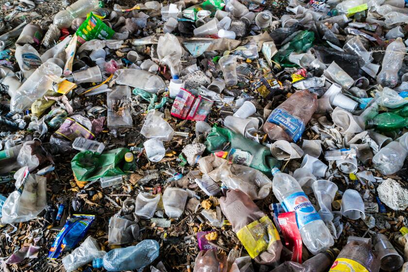 Plastic, ubiquitous at disposal sites, also has been found in human bloodstreams, along with chemical additives.