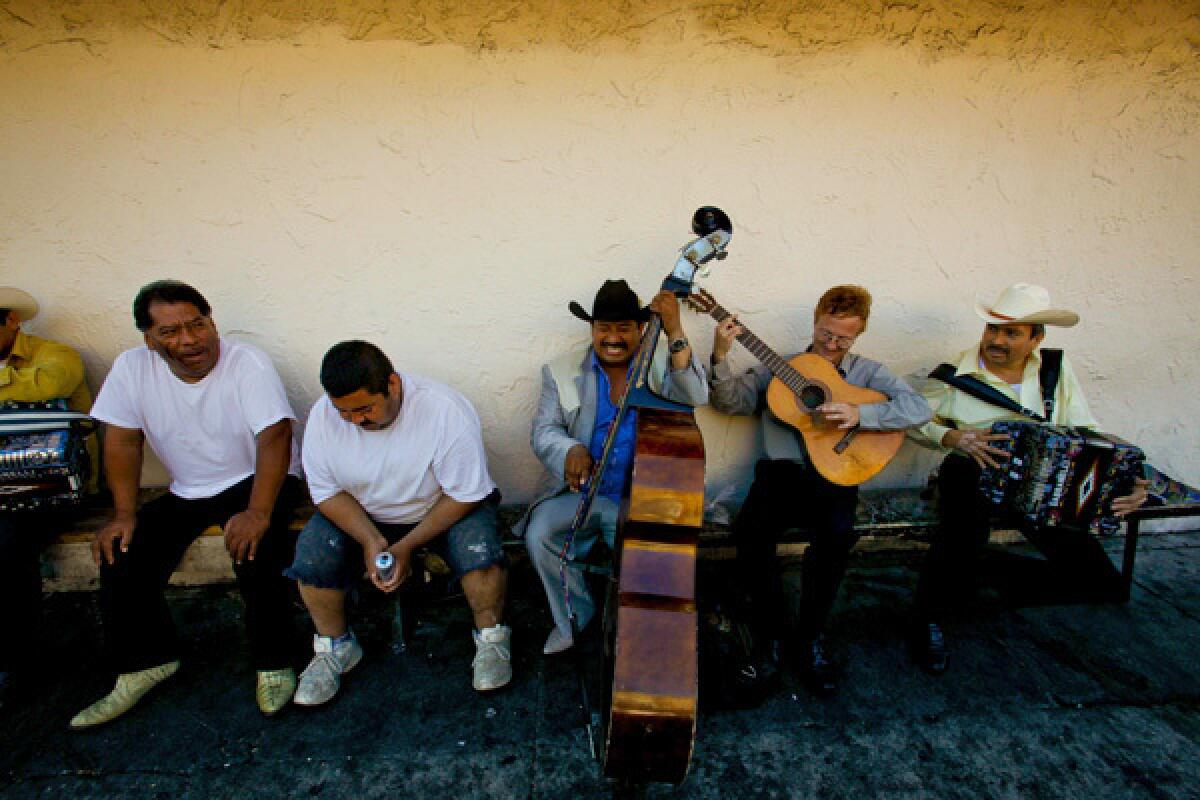 mariachi band instruments