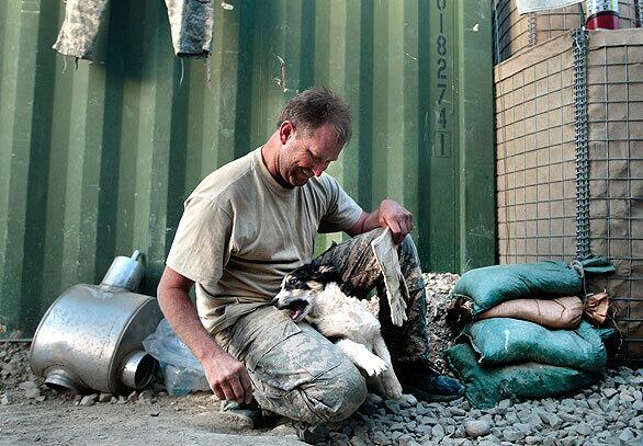 U.S. Army Engineer Staff Sgt. Rick Atkinson of Roswell, N.M., plays with a puppy that soldiers of Forward Operating Base Zerok adopted a few weeks ago. Oct. 7 marks the anniversary of the beginning of the Afghanistan war in 2001; eight years later, thousands of American and international troops are camped out in field bases around the war-torn country.