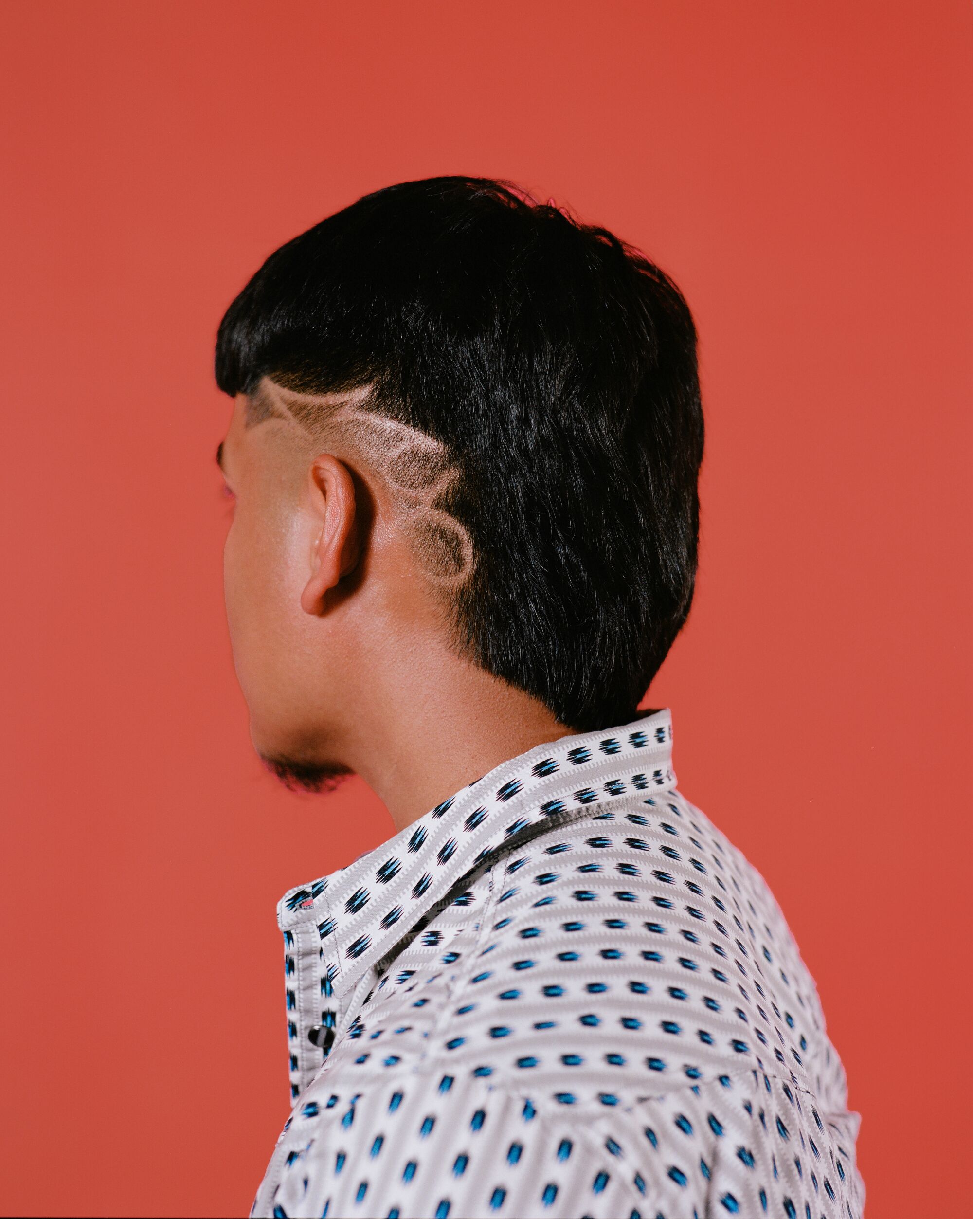 Side profile of an Edgar with some shaved designs.