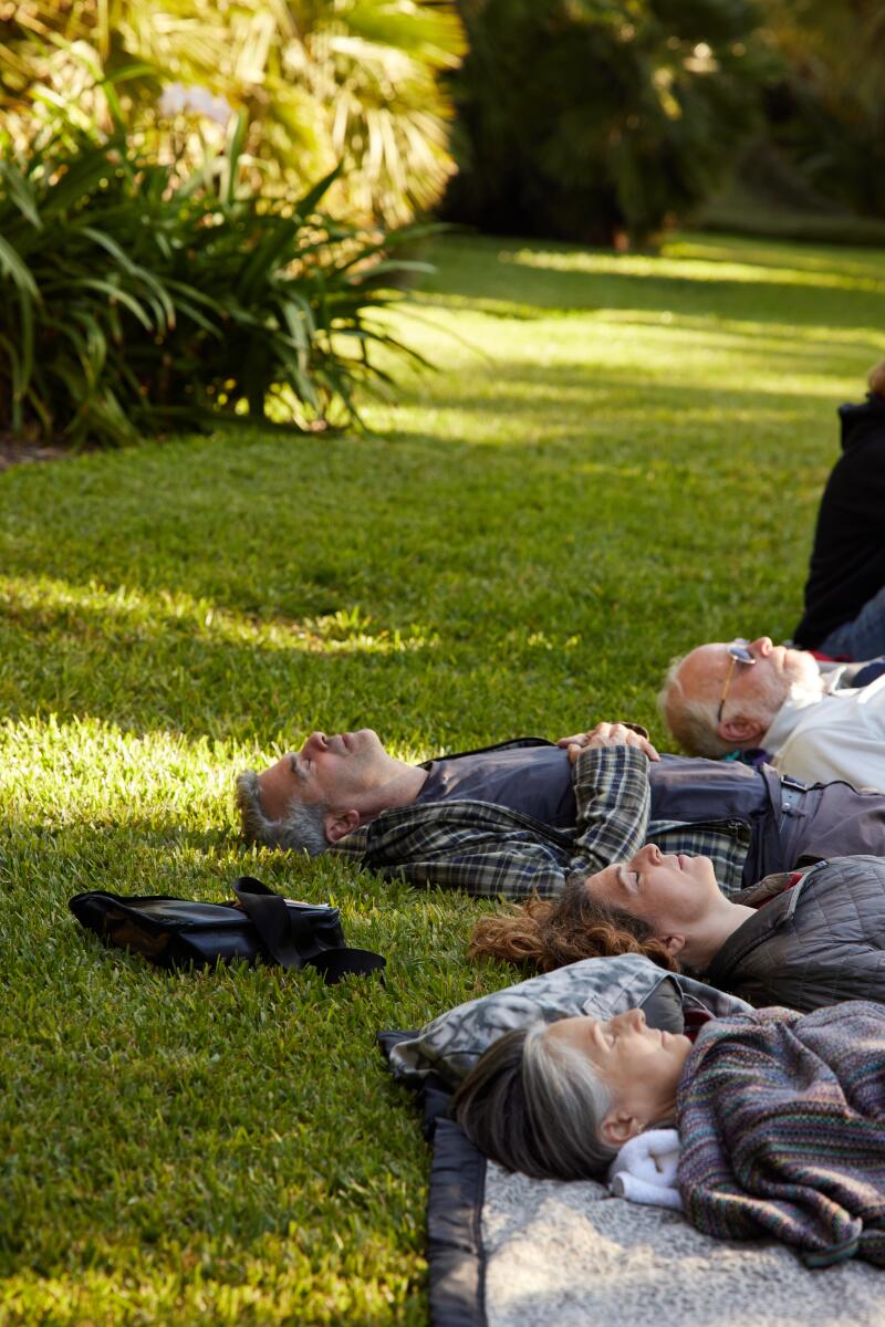 Four people lie on their backs on the grass, eyes closed and meditating.   