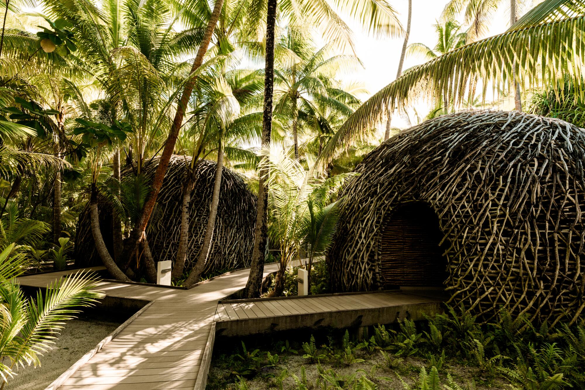 Elevated wooden walkways among greenery and trees at a tropical resort