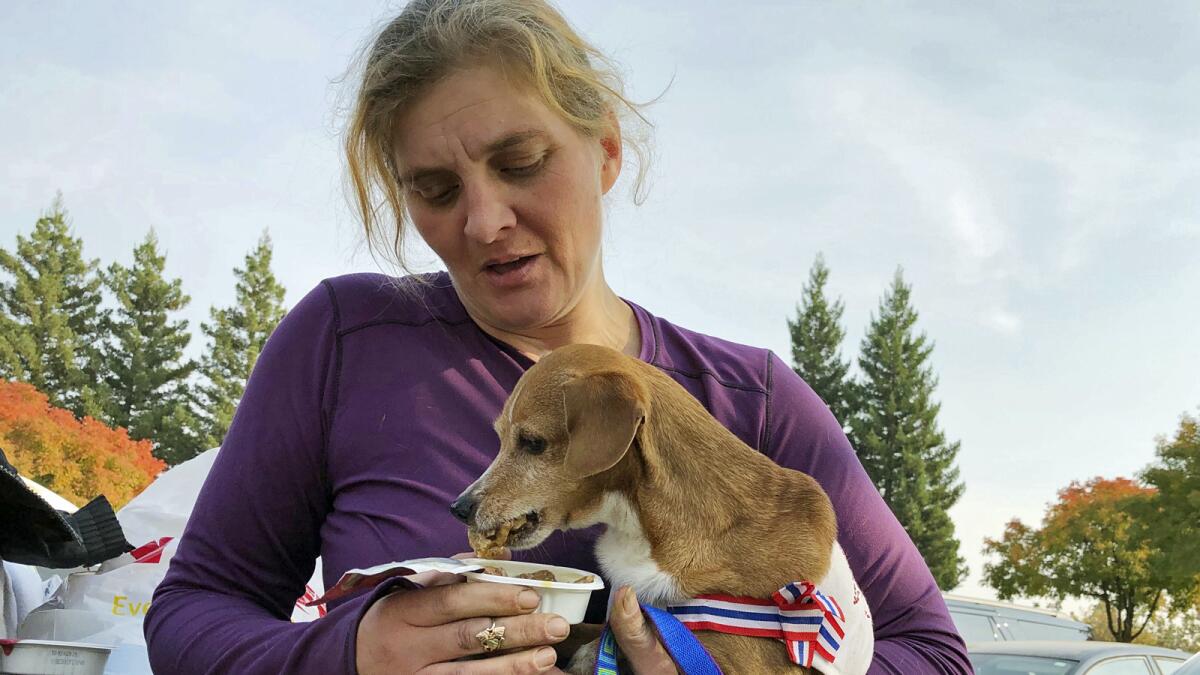 Tammy Lee Trojanowski, 46, holds her chihuahua-dachshund outside the Federal Emergency Management center in Chico, Calif., as she talks about the Camp Fire disaster. She wasn't sure her home survived in Magalia and has been living out of her pickup truck. (AP Photo/Sudhin Thanawala)