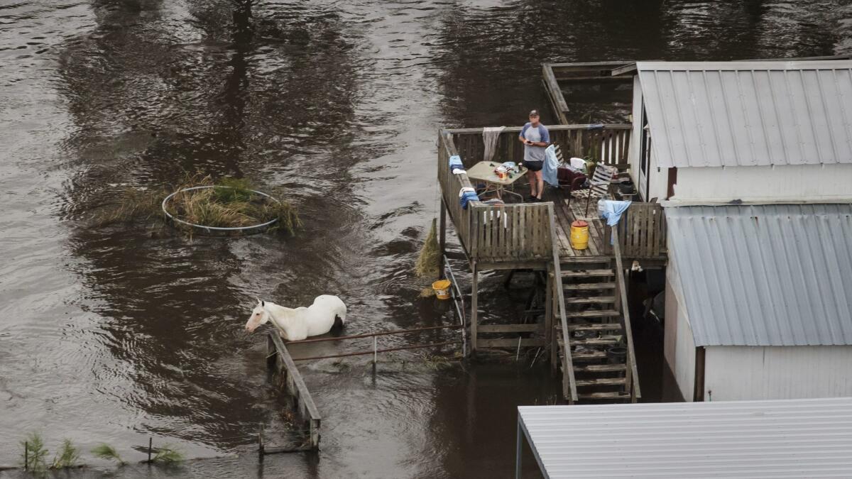 A man barbecues despite floods surrounding his home near Lumberton, Texas.