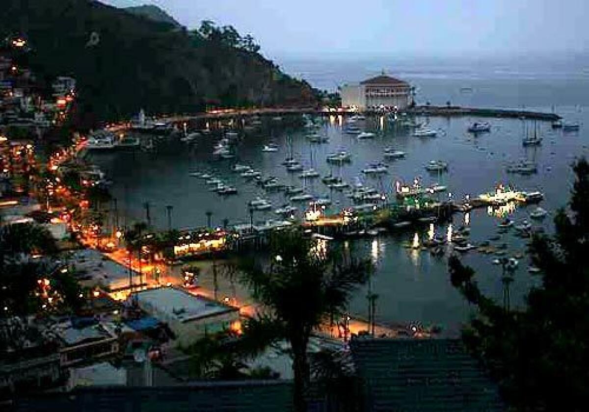 Harbor lights at dawn in Avalon.