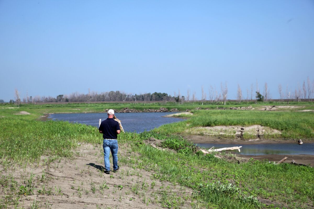 Todd Bridges, a senior research scientist for the U.S. Army Corps of Engineers, walks along a new wetland area that had been flooded in 2019 a few miles south of Rock Port, Missouri, on Monday, July 26, 2021. The wetland is part of the Corps' Engineering with Nature initiative, a program that uses engineering to create and restore natural habitats in a way that's cost efficient and environmentally friendly. (AP Photo/Grant Schulte)