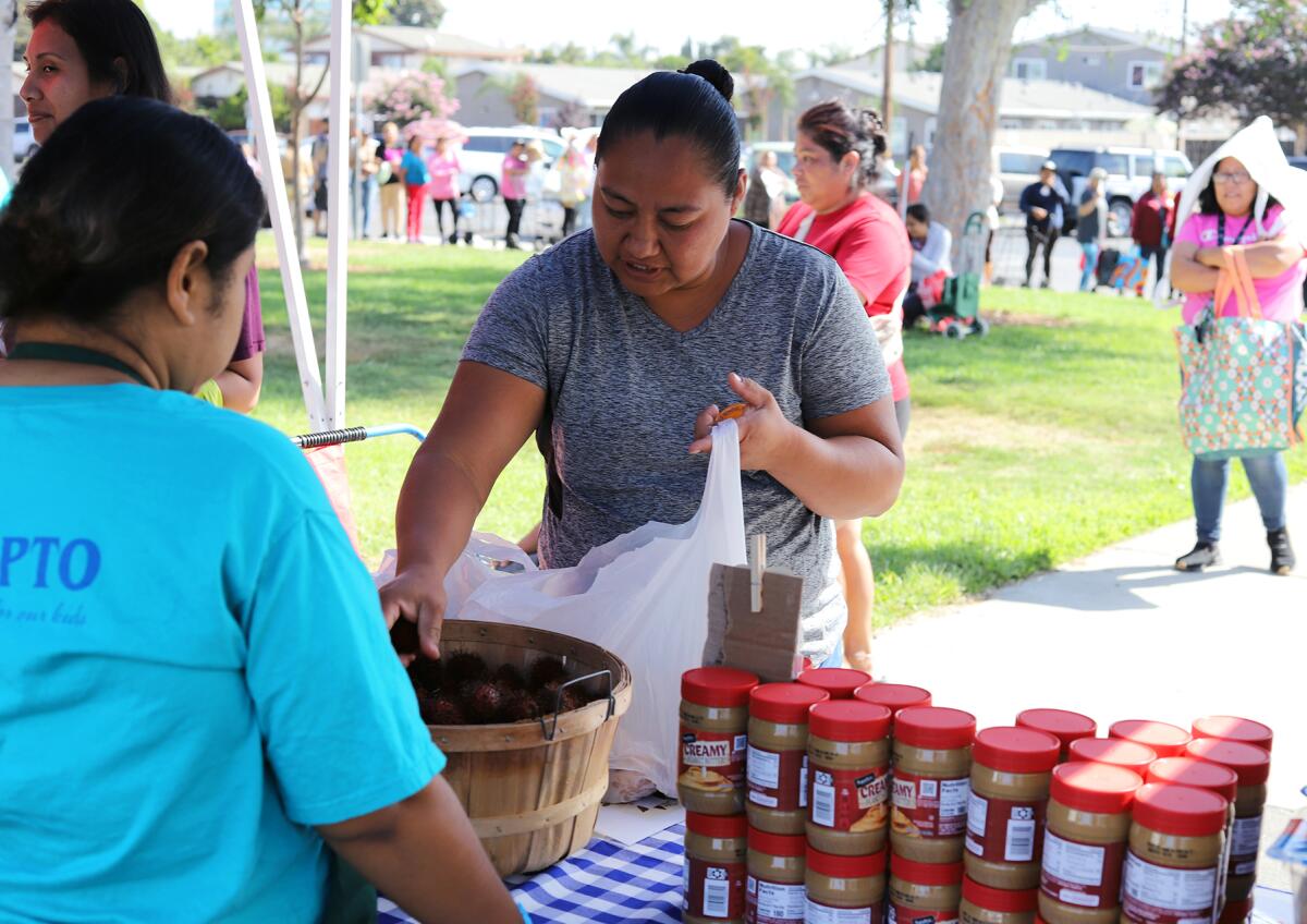 Rebeca Isidoro picks fresh produce at the Second Harvest Food Bank's Mobile School Pantry in Huntington Beach on Wednesday.