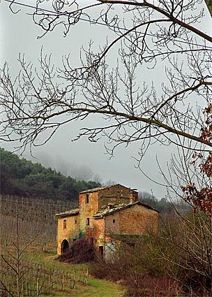 Among the vineyards at Tenuta Valdipiatti, a winery near Montepulciano, is an abandoned farmhouse on the winery property.
