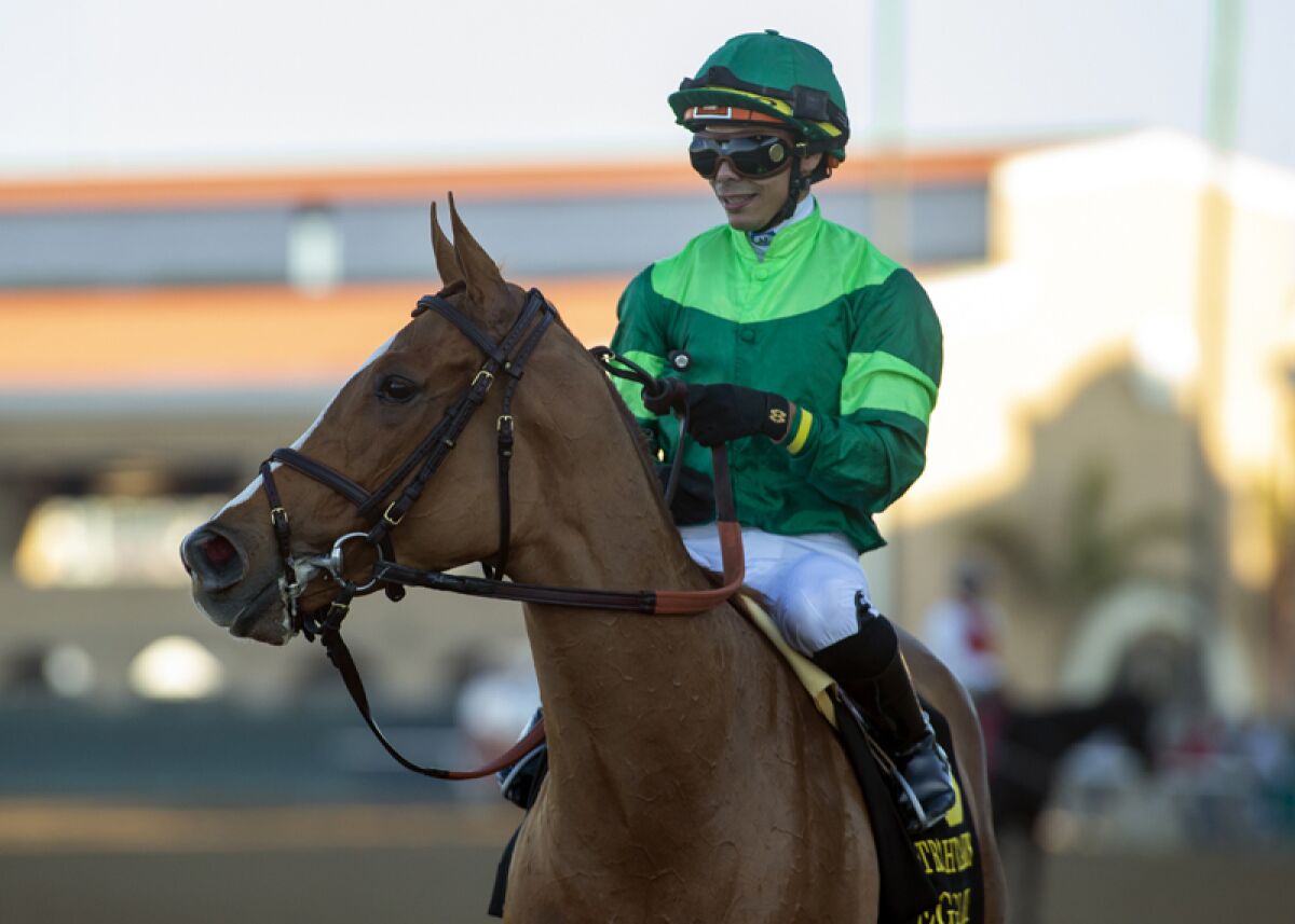 Trainers Head West For Del Mar s Final Weekend The San Diego Union trainers-head-west-for-del-mar-s-final-weekend-the-san-diego-union