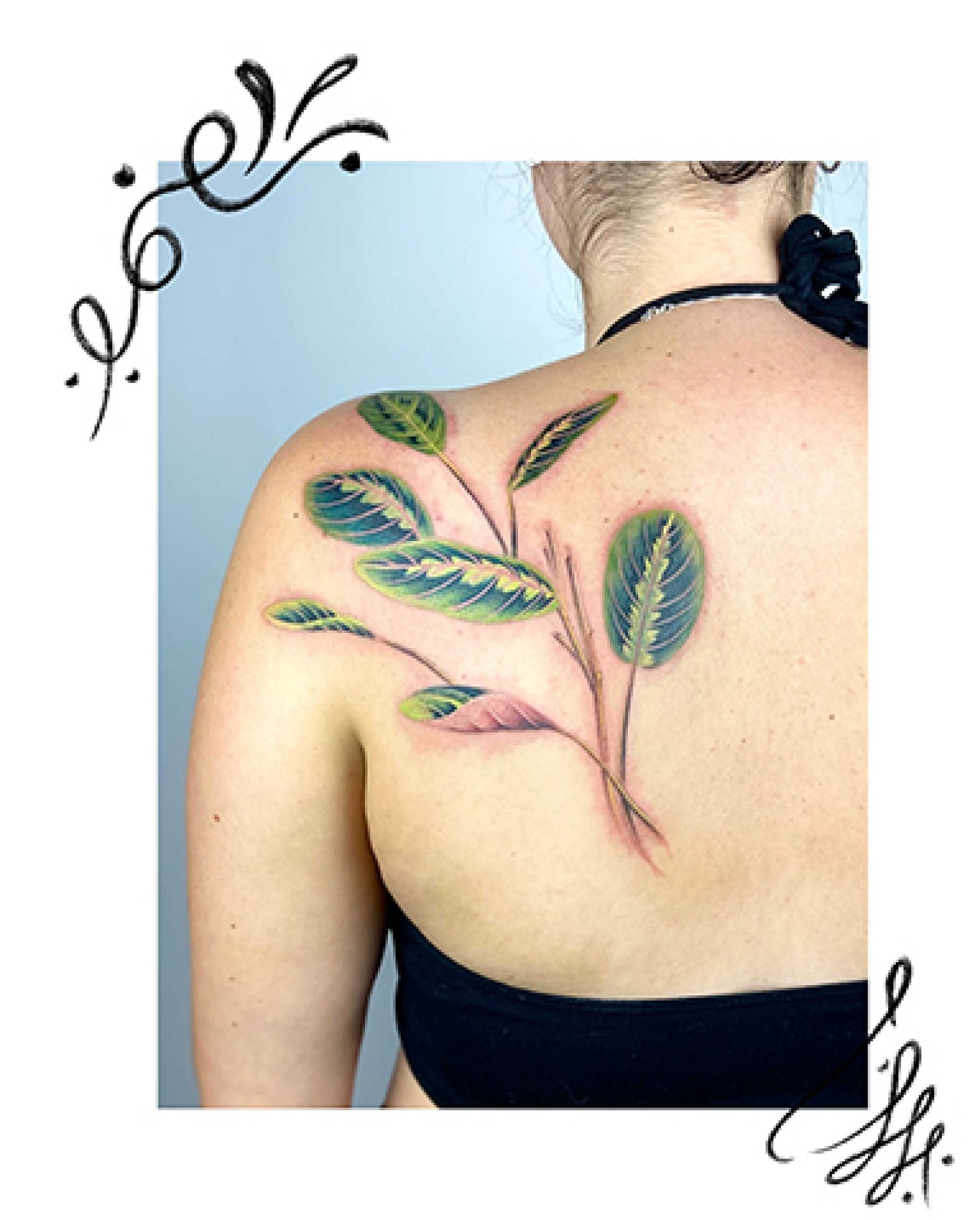 Prayer plant tattoo on a back.