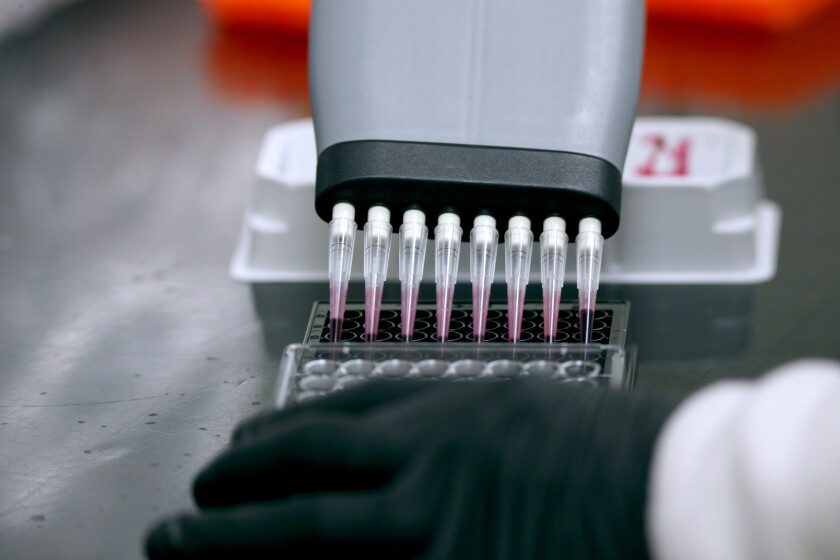 Wedad Alhassen, 25, prepares testing samples at a laboratory at UCI, where she and her two siblings are doctoral students.