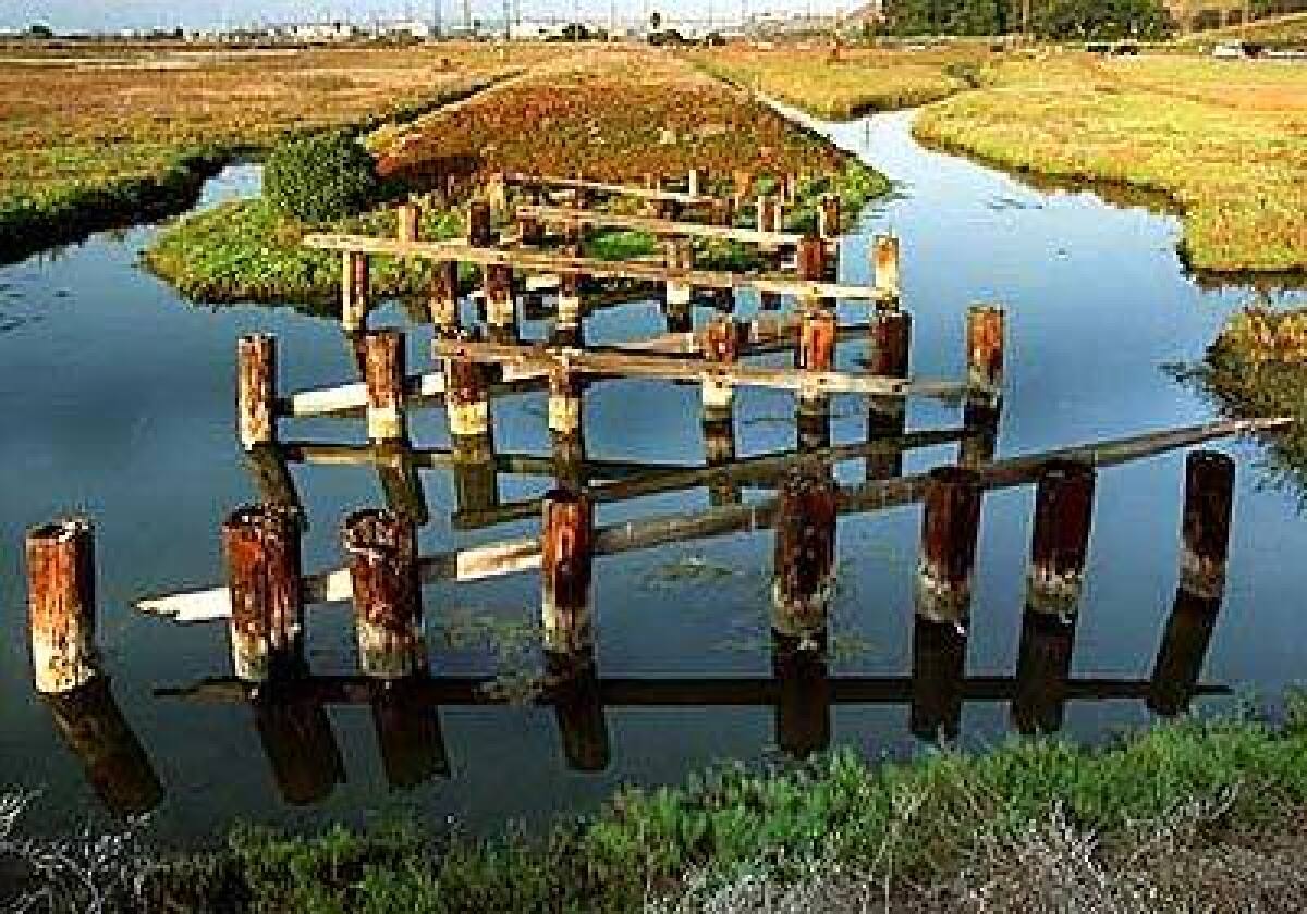 The Ballona Wetlands, near the Inn at Playa del Rey, includes channels in which egrets and other birds can be spotted.