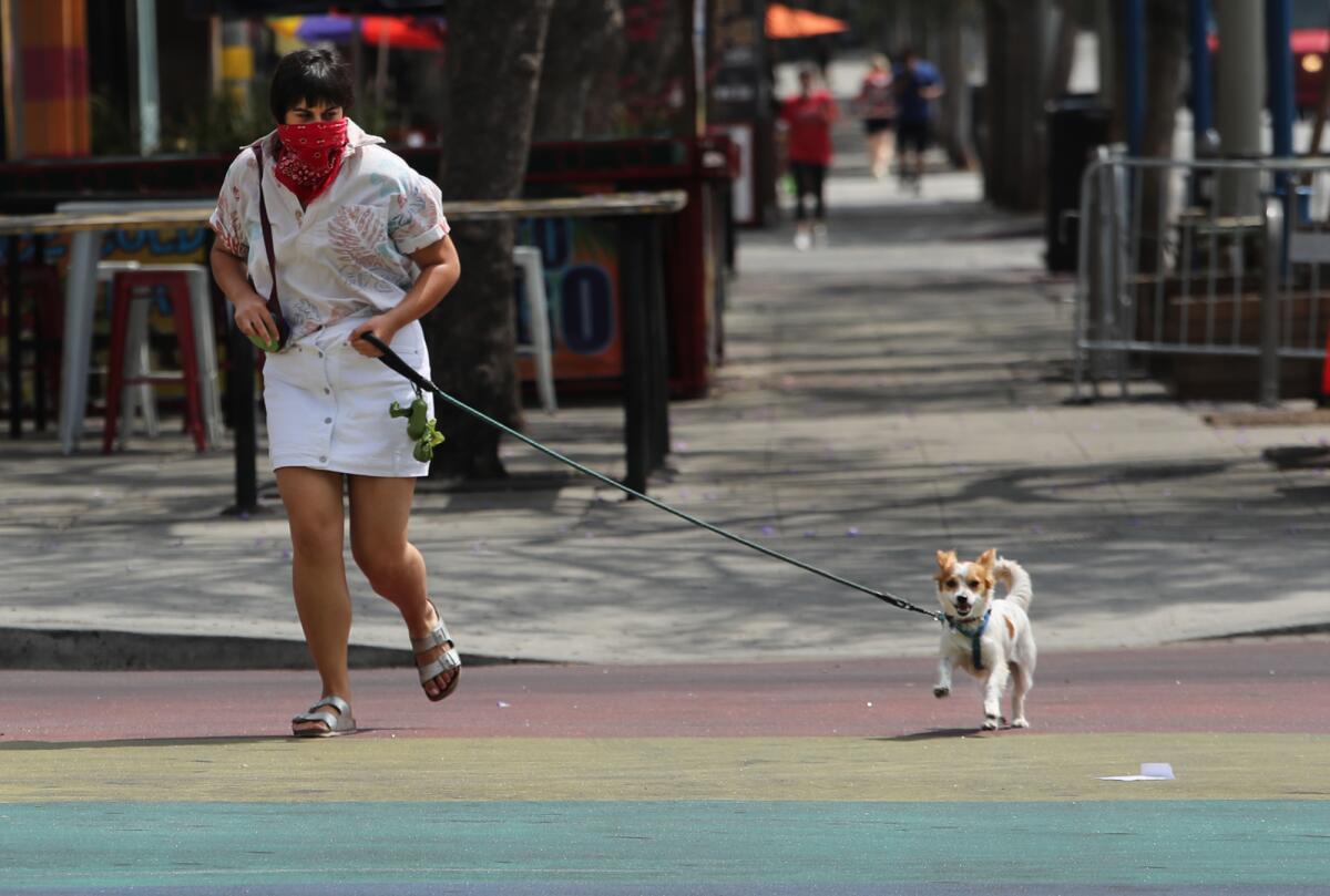 A woman walks her dog in West Hollywood in July