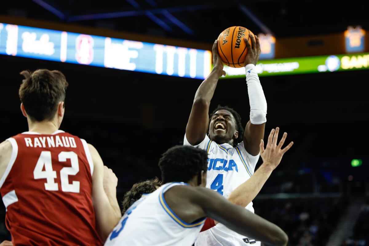 UCLA guard Will McClendon sets up for a shot against a Stanford defender last month.