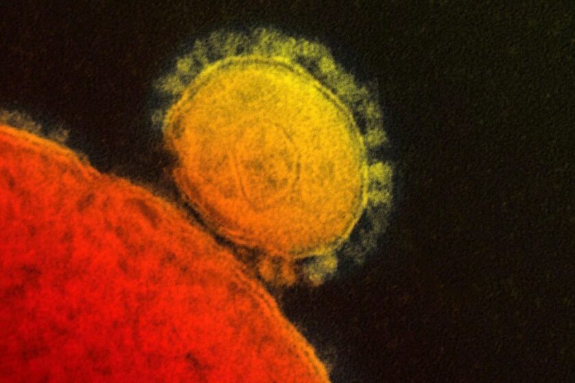 A colorized photo of the MERS coronavirus, or MERS-CoV. Health officials at the Centers for Disease Control and Prevention have confirmed the first case of Middle East respiratory syndrome in the United States, in Indiana.