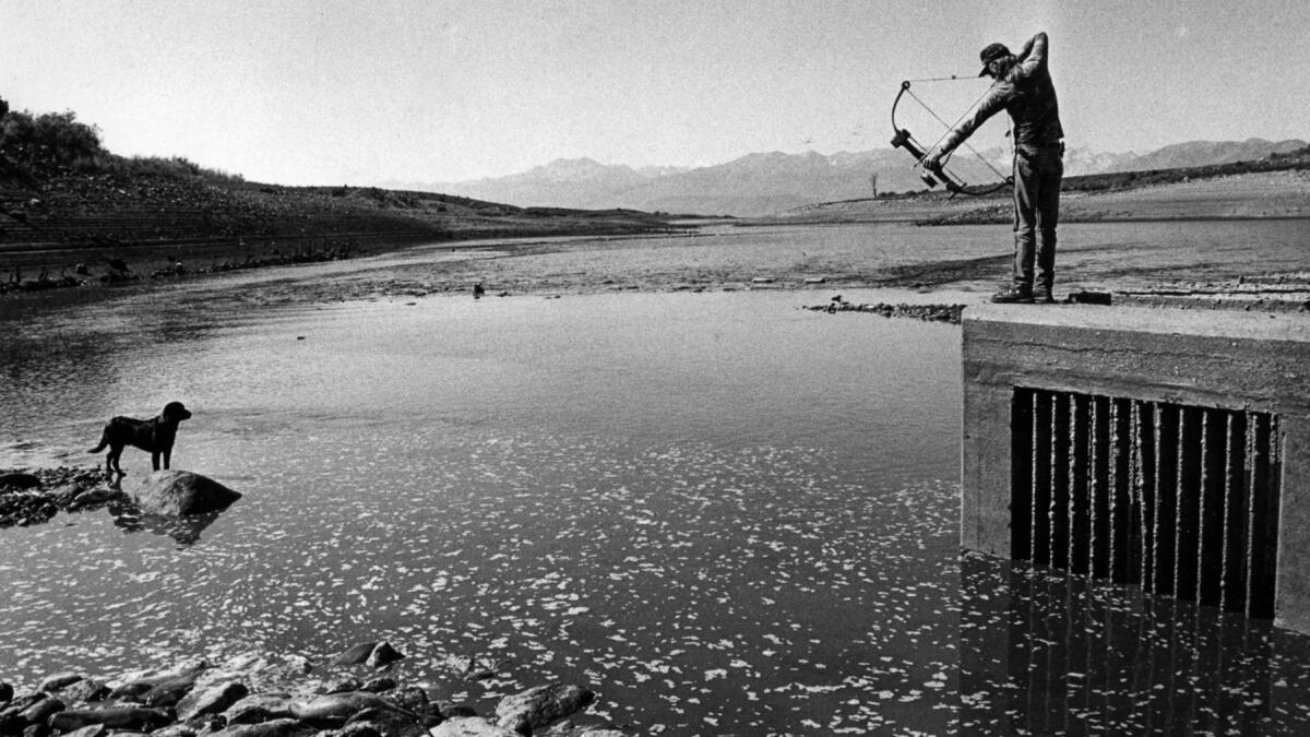 Sept. 1, 1988: Jim Reed uses a bow and arrow to shoot carp at the Bridgeport Reservoir in Northern California. The reservoir normally has 40 feet of water.