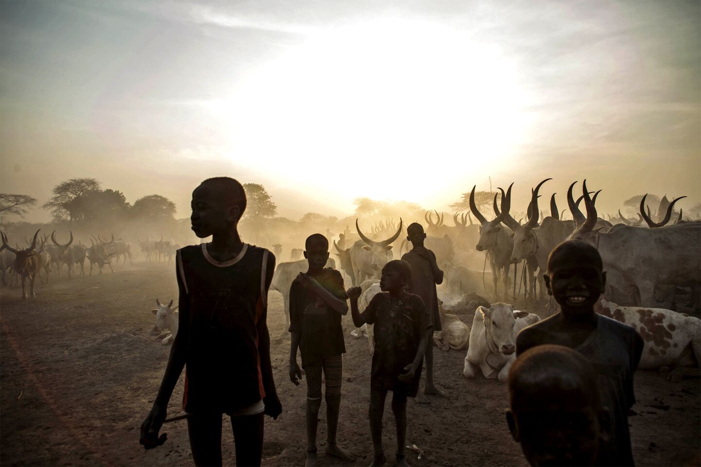 South Sudanese children from the Dinka tribe pose with cattle at a camp in the town of Yirol. Members of the Dinka and Lou Nuer tribes each have carried out massacres in the bloodshed that began in December.