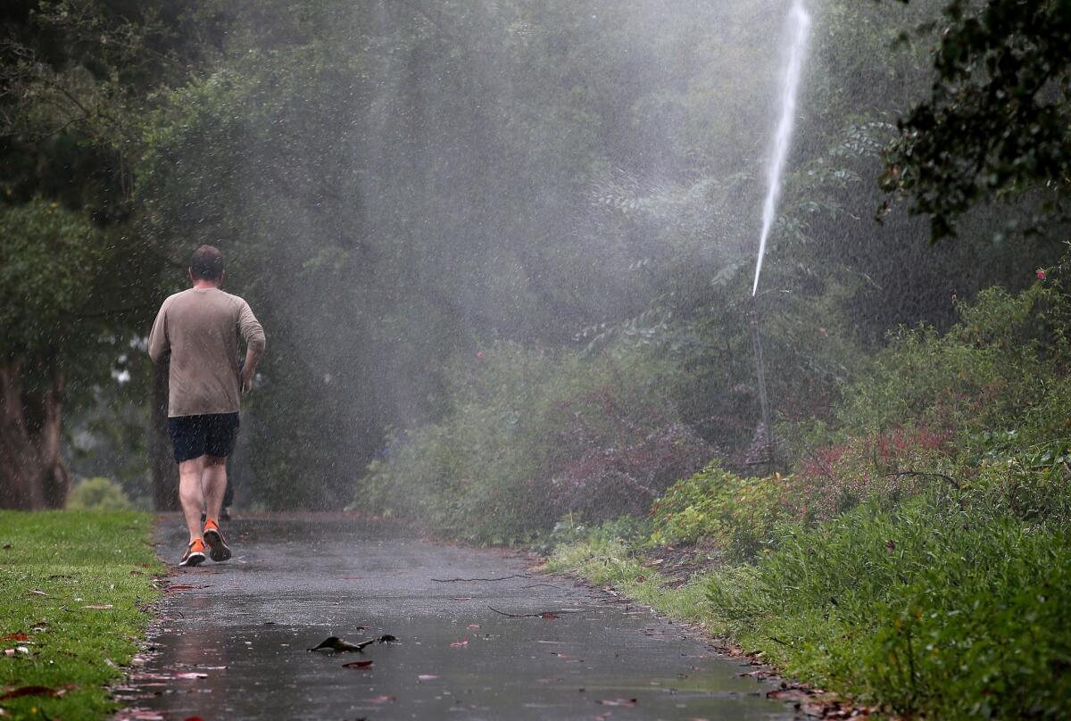 A jogger runs by a sprinkler that is partially watering a sidewalk in Golden Gate Park last July.