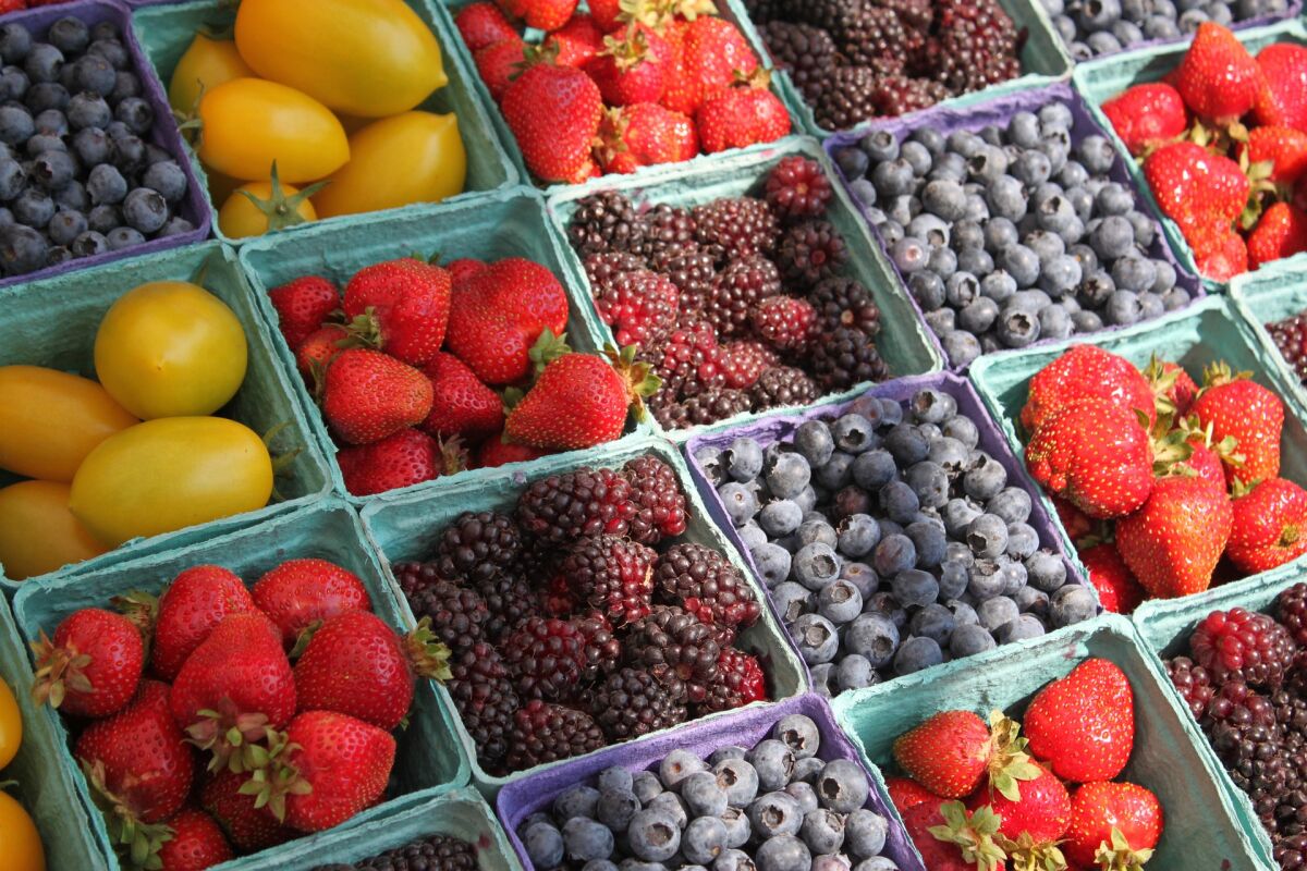 Berry Boxes