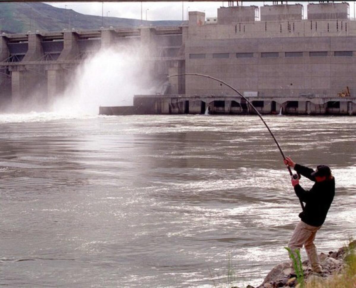The Lower Granite Dam on the Snake River was one of four dams proposed for removal to save threatened salmon runs.