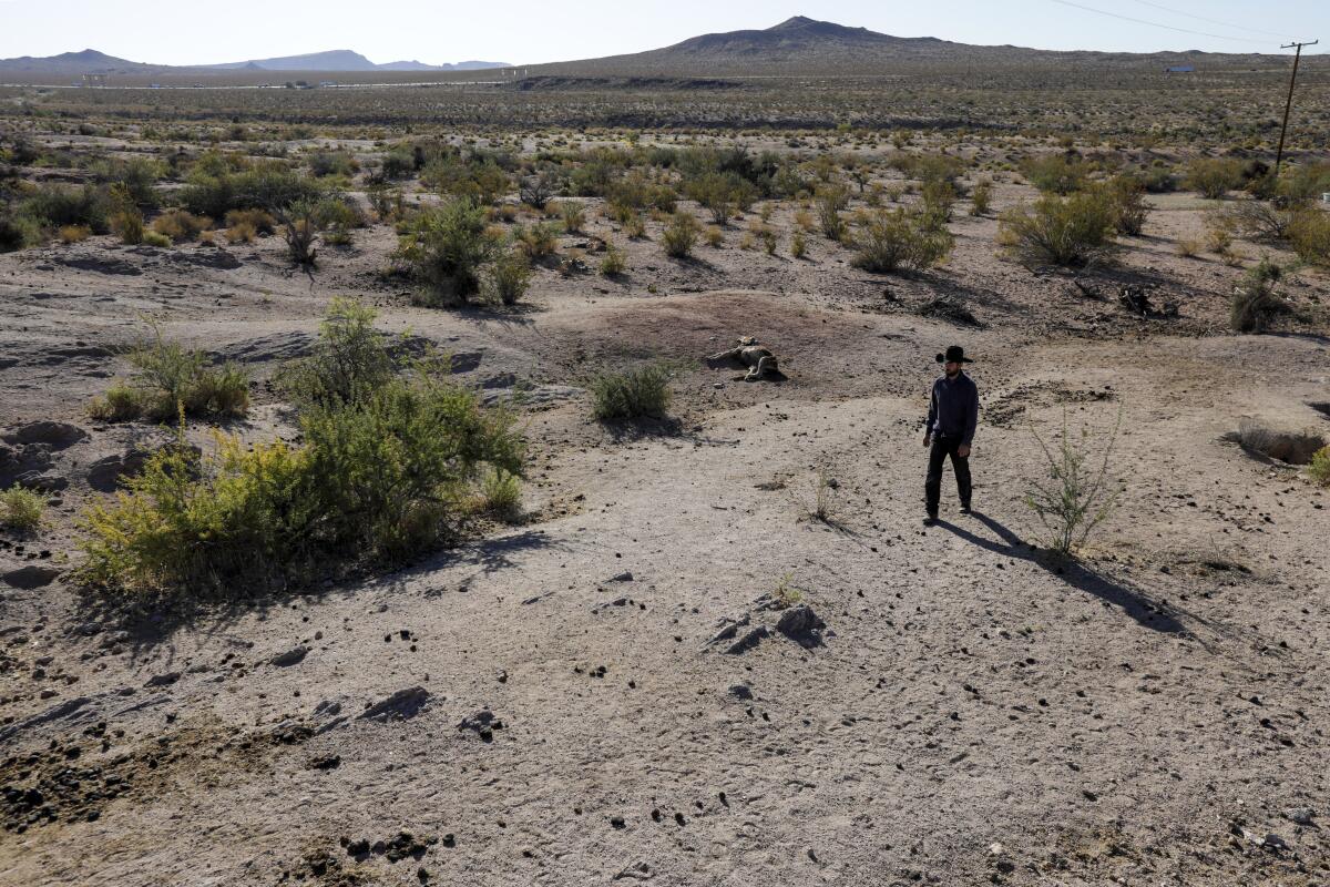  A man walks in the desert near shrubs.