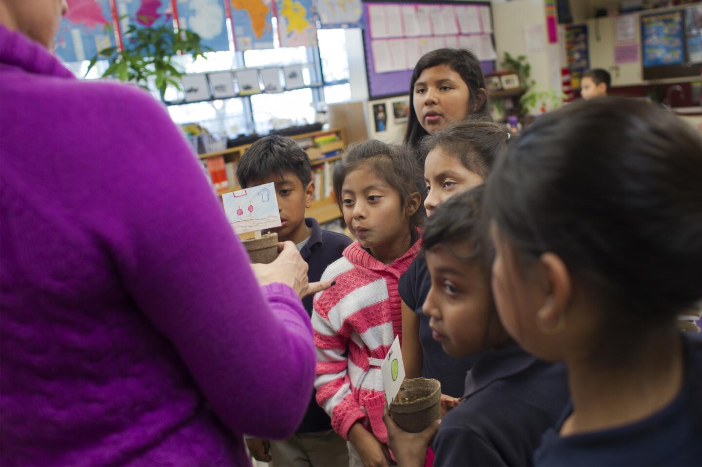 Third-grade teacher Sylvia Rubalcava discusses new seedlings with her students during English development class at Gratts Elementary School in Los Angeles. A GOP-driven federal education bill could cut $782 million for LAUSD low-income schools over the next six years.