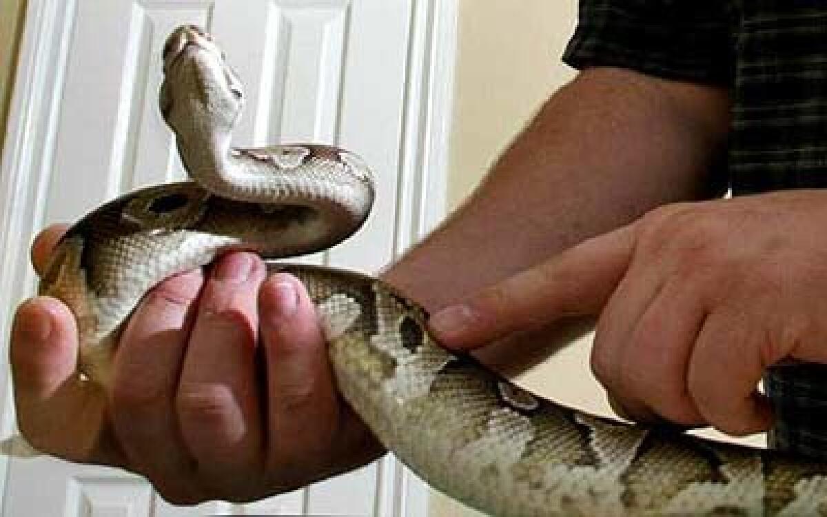 The Nix Nature Center in Laguna Beach will host a snake demonstration from 1 to 4 p.m. Saturday.