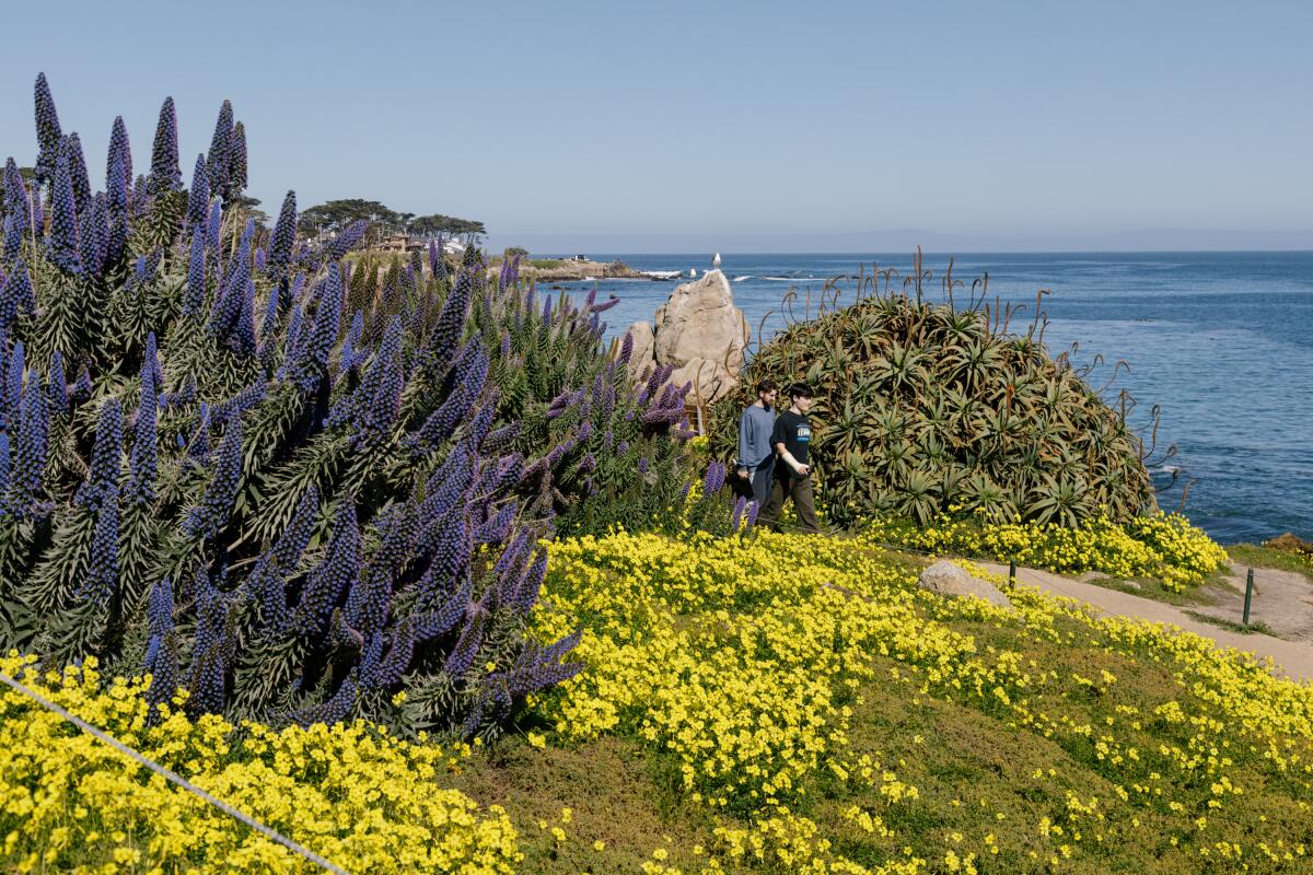 A waterside path is one way to take in the coastal scenery along 17-Mile Drive.
