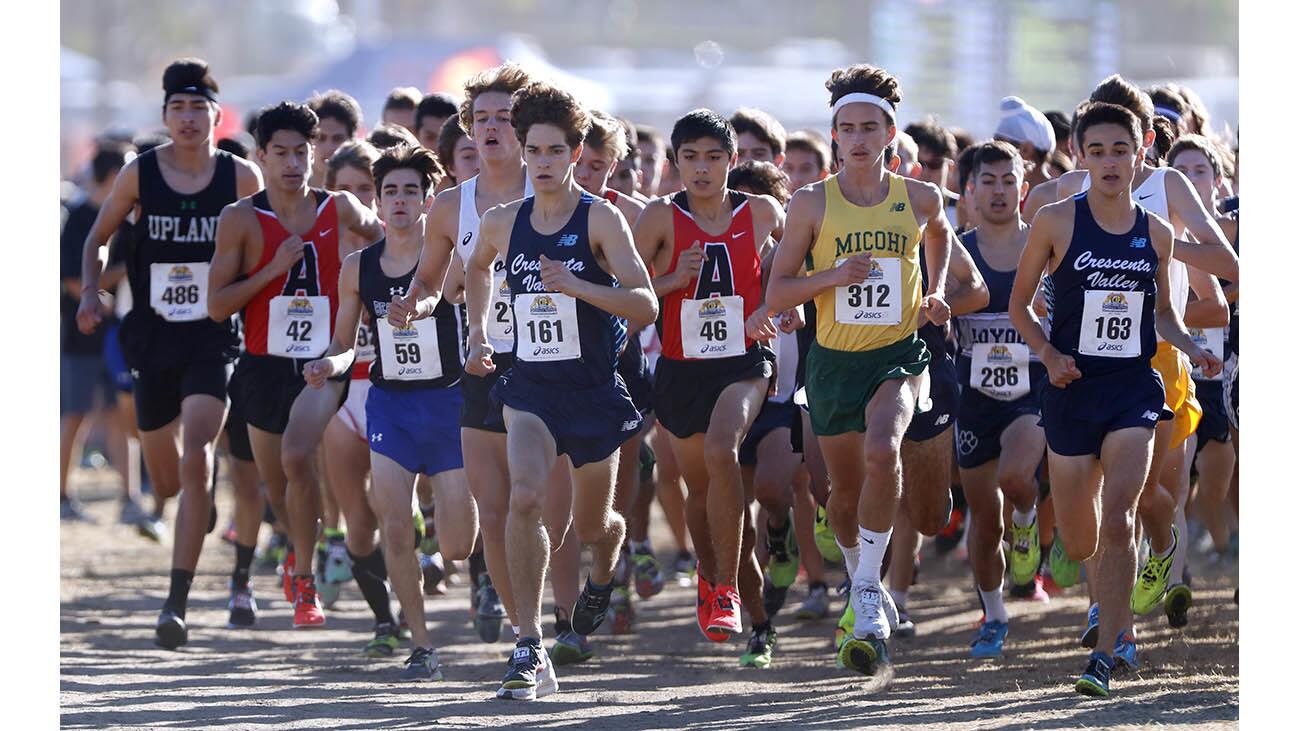 Photo Gallery: Locals run, win CIF Southern Section Cross Country Divisional Championships in Riverside