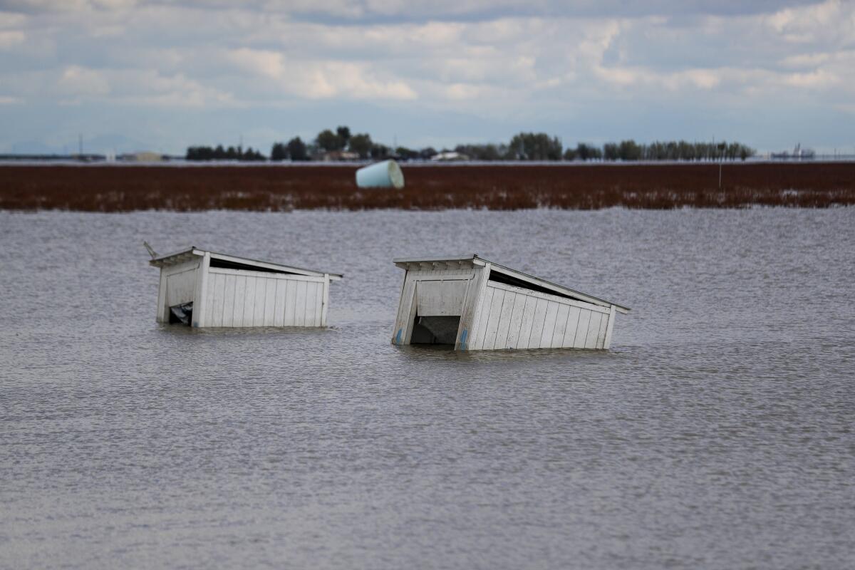 Bee sheds and farmland are flooded as the resurgence of Tulare Lake continues. 