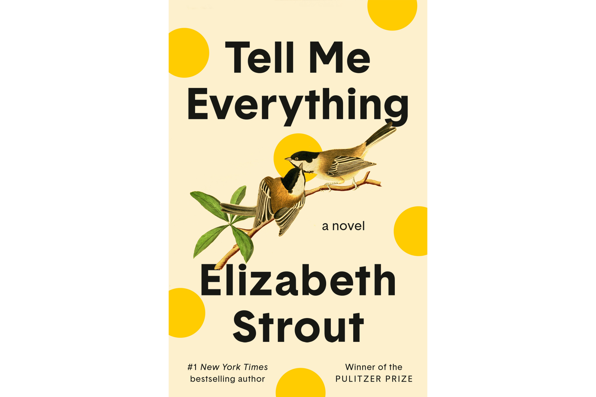 Tell Me Everything by Elizabeth Strout - Random House