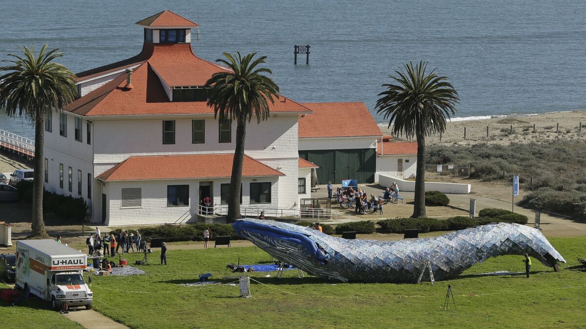 The blue whale art piece made from discarded plastics was installed at Crissy Field in San Francisco's Golden Gate National Recreation Area on Oct. 12.