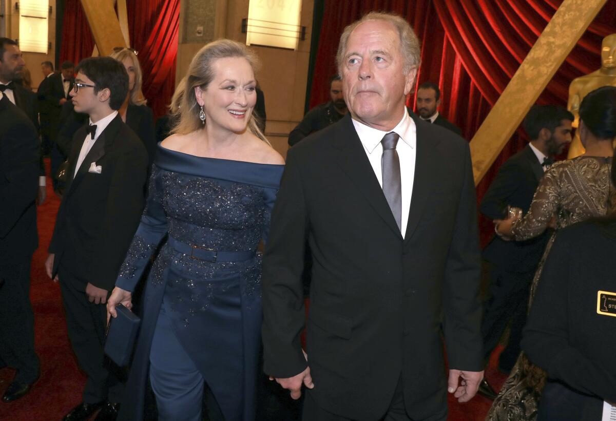 Meryl Streep in a blue gown and Don Gummer in a black suit arrive at the Oscars in 2017