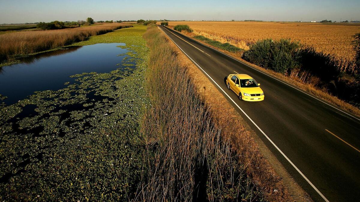 A levee road in the Sacramento-San Joaquin Delta.