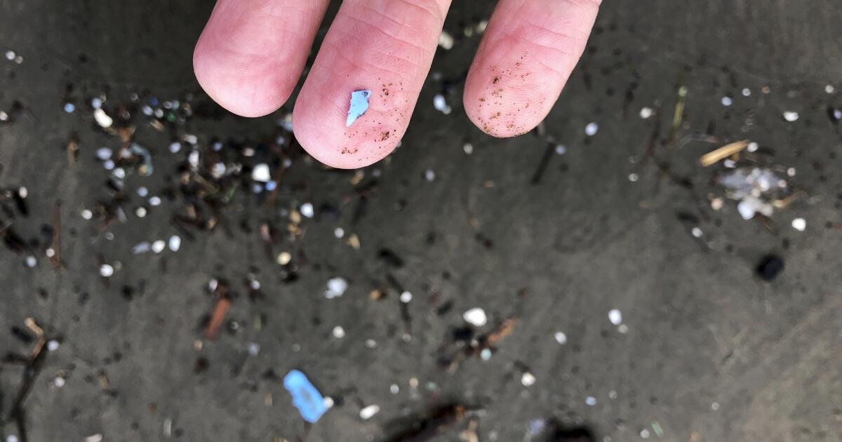 Microplastics may be new risk factor for cardiovascular disease, researchers say