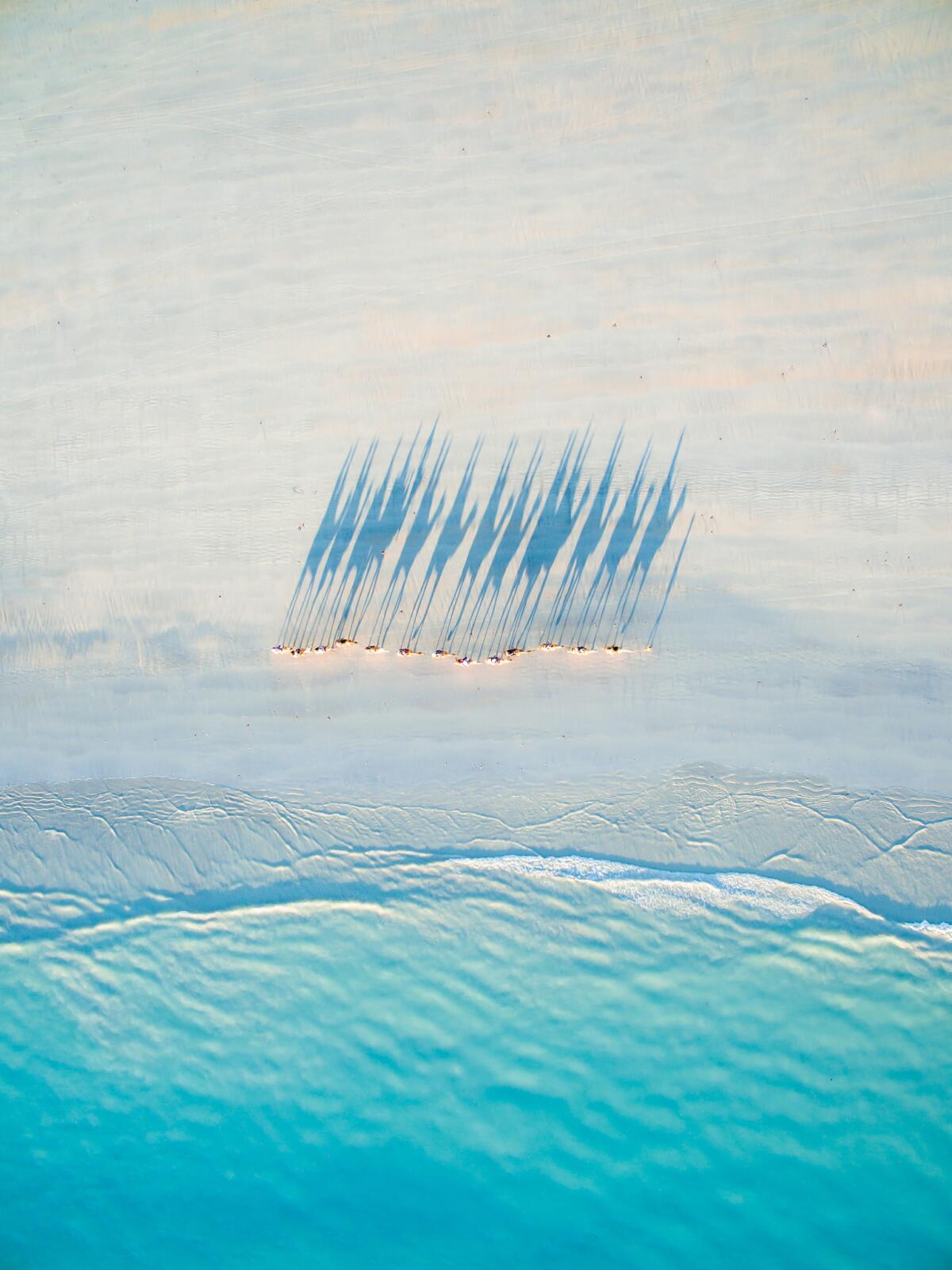 An image of Cable Beach in Western Australia took second place in the travel category. (Todd Kennedy )