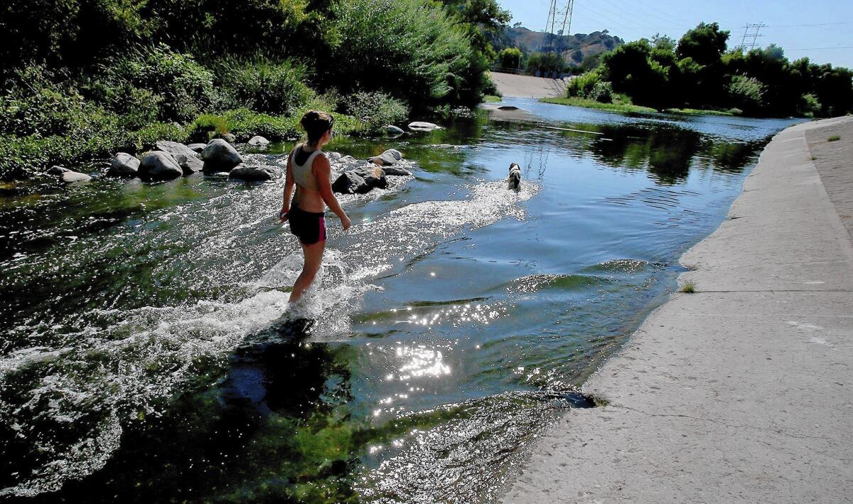 Glendale resident Sarita Vidal and her springer spaniel cool off in the Glendale Narrows area of the Los Angeles River last year. Mayor Eric Garcetti has offered to split the cost of revamping the river with the Army Corps of Engineers if the corps will adopt the $1-billion plan he prefers rather than the $453-million option favored by the corps.