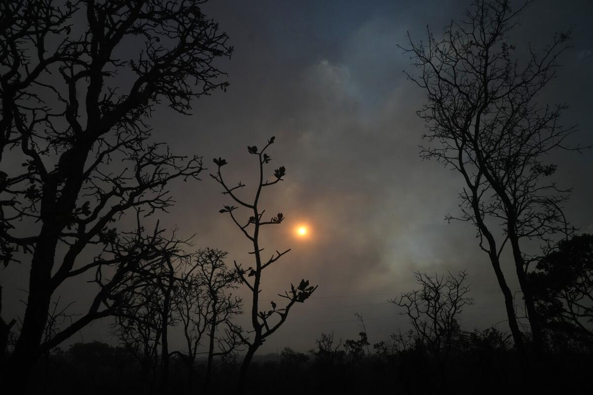 ARCHIVO - Se pone el sol detrás del humo de incendios en el bosque del Cerrado en Brasilia,