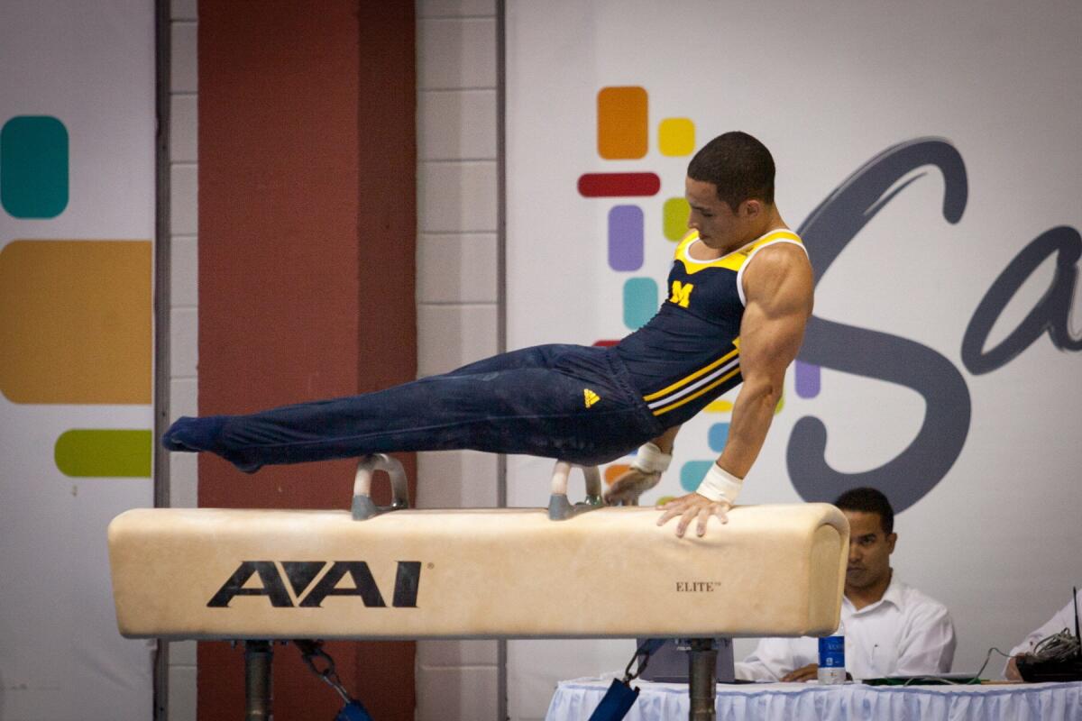 Fotografía cedida por la Federación de Gimnasia de Puerto Rico que muestra a Tristian Pérez, uno de los dieciséis gimnastas que competirán este sábado en la primera de dos pruebas para escoger a cinco de ellos para integrar el equipo de Puerto Rico que participará en los Juegos Panamericanos en Toronto (Canadá).