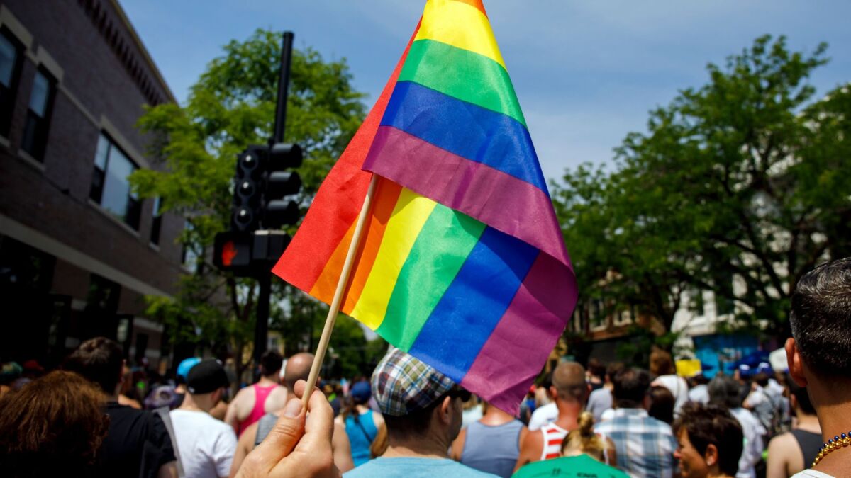 People attend the LGBTQ Chicago Equality rally in June. Starting in January, the use of a rare criminal defense argument that a victim's sexual orientation is justification for a violent crime will be outlawed in Illinois.