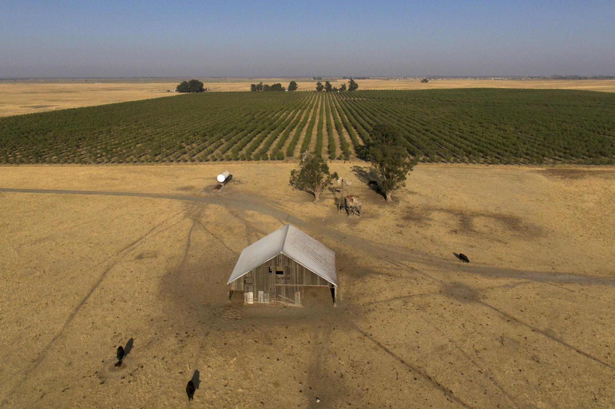 An aerial photo of farmland in Solano County.