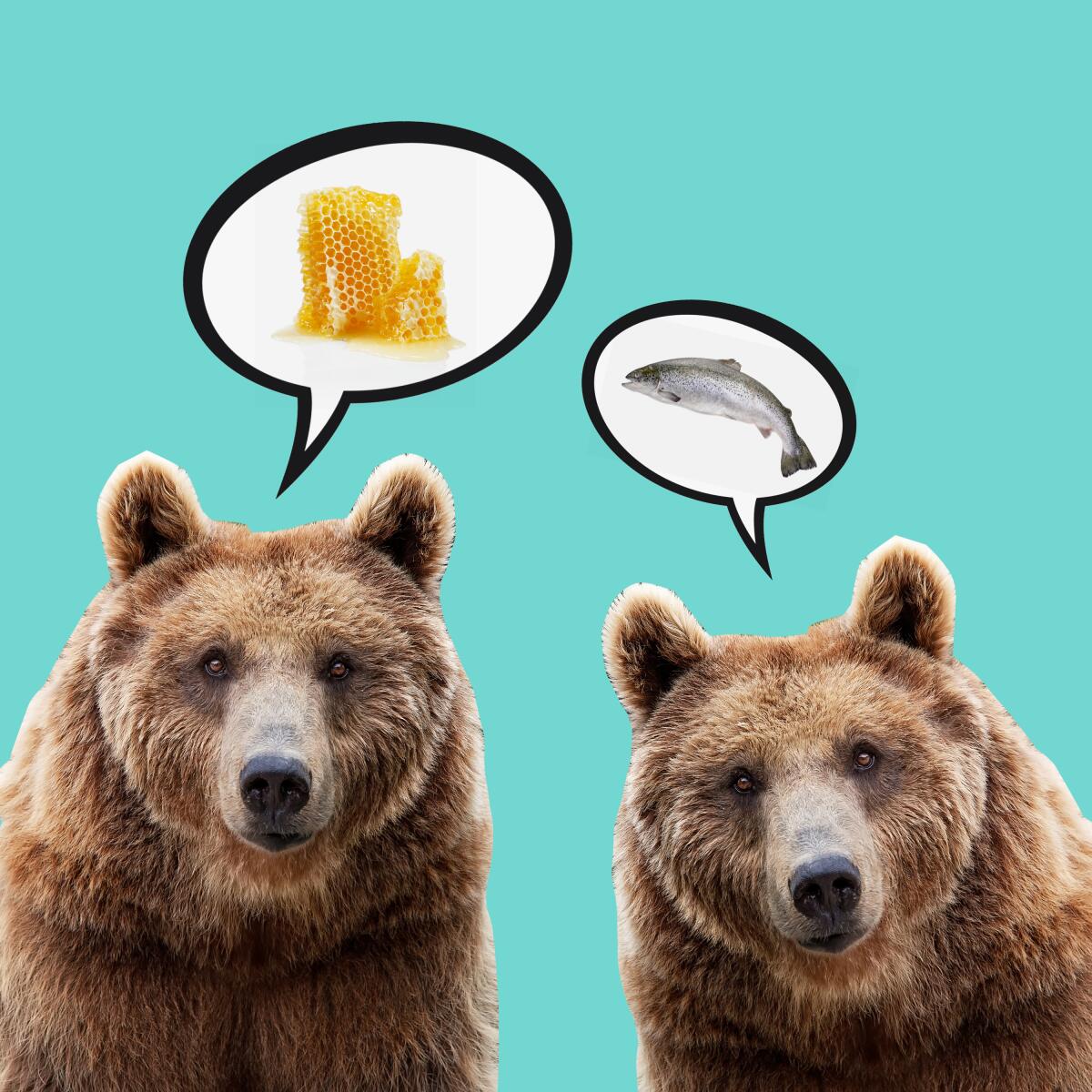 An illustration of bears with thought bubbles of honey and fish