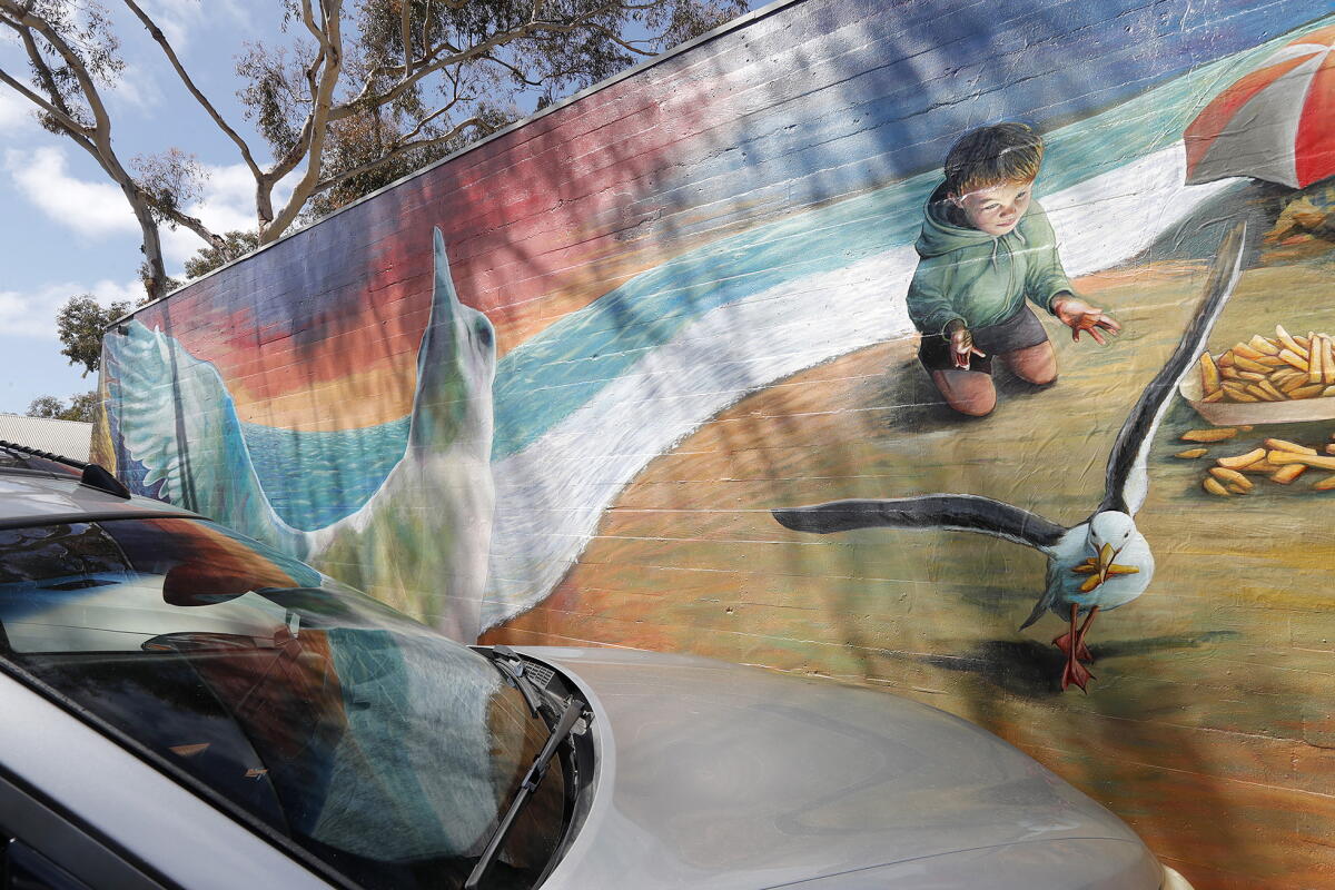 Timothy Ripple Timothy Robert Smith's 'Ripple Effect' invites differing perspectives ...