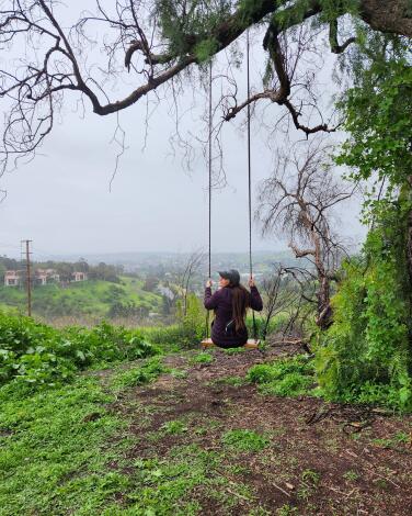Wheee! Here are 15 SoCal hiking trails with hidden tree swings